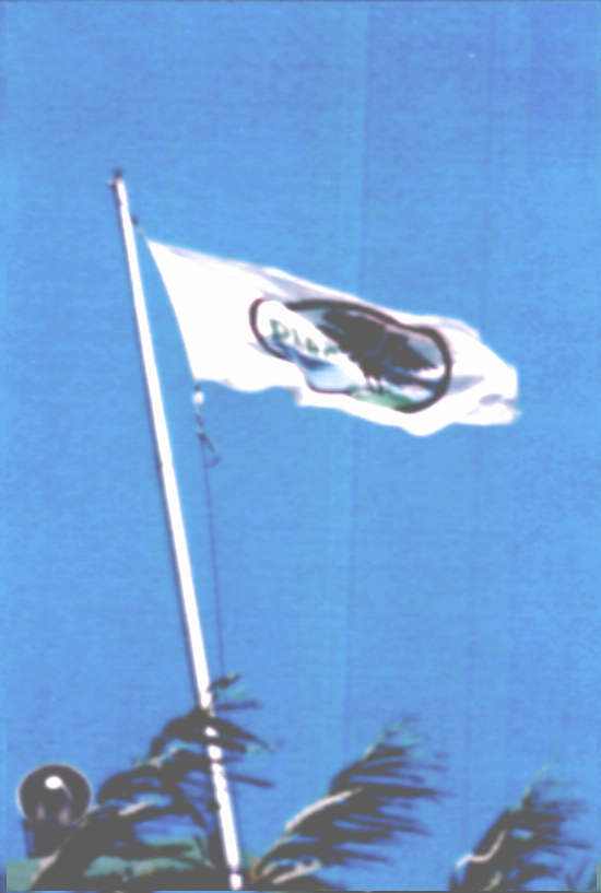 Flagge am Wachturm